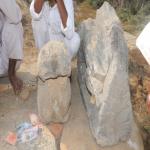 Vraj-Yatra-2014- (2514)